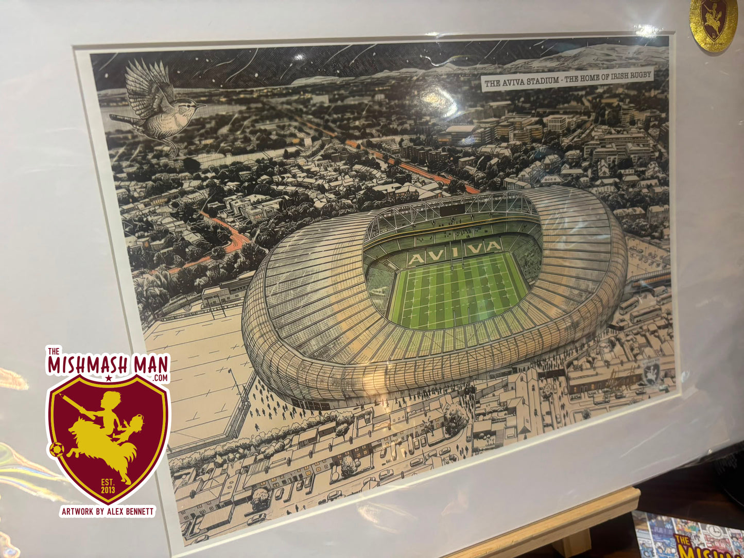 The Aviva Stadium - The Home of Irish Rugby