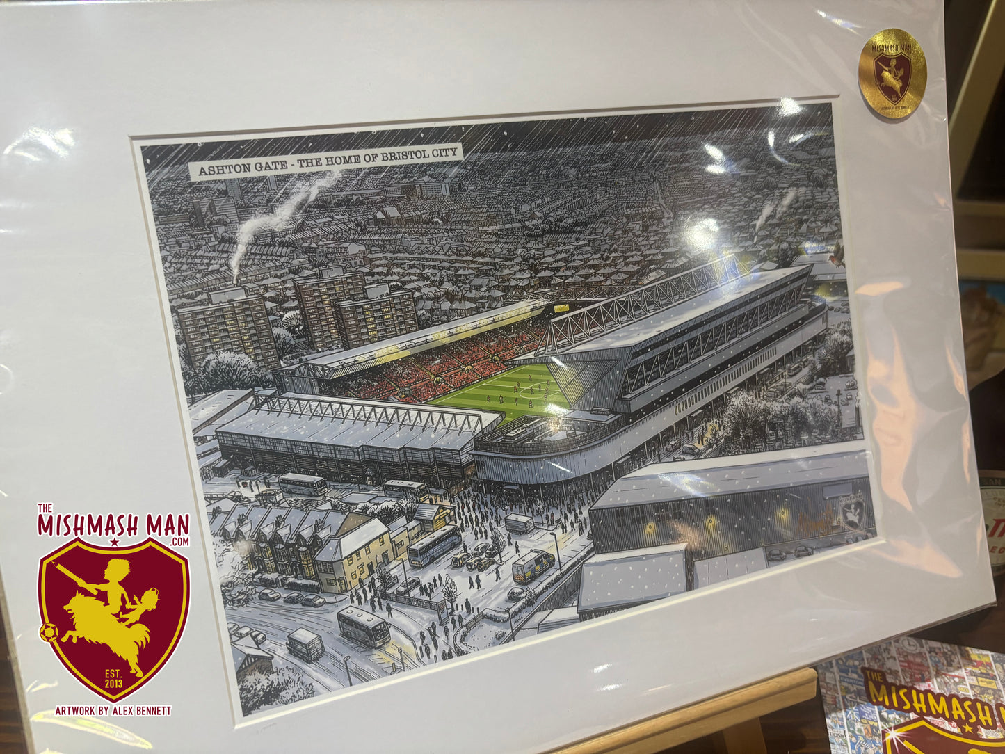 Ashton Gate - The Home of Bristol City Football Club