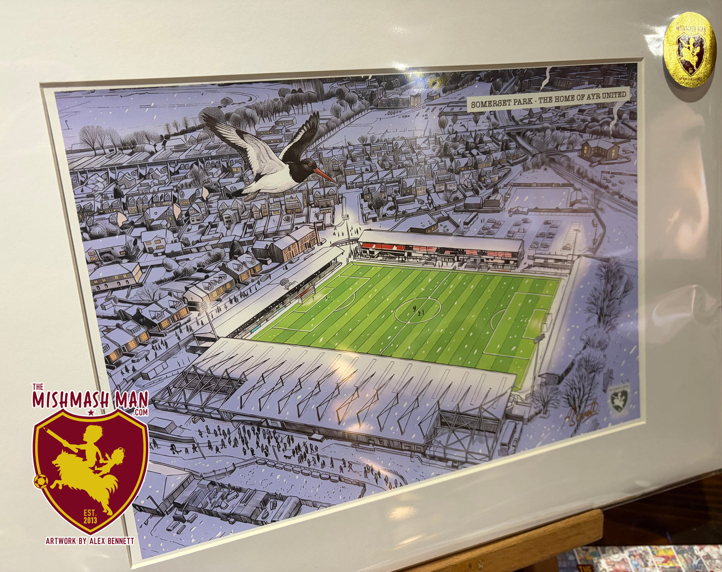 Somerset Park - The Home of Ayr United Football Club